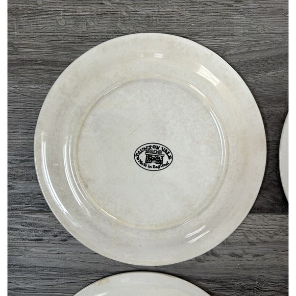Vintage Taunton Vale Buttercups Plates Dessert Snack 1970s Floral X 6 England - Picture 10 of 13